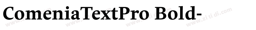 ComeniaTextPro Bold字体转换 ComeniaTextPro Bold字体转换